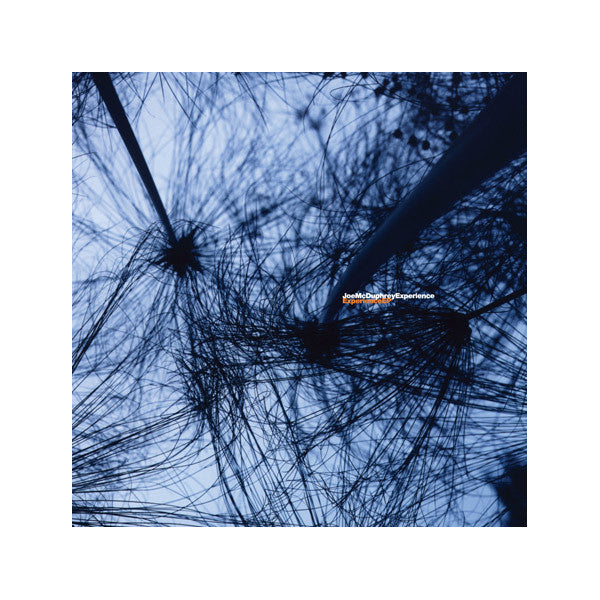 Joe McDuphrey - Experience, 12" Vinyl - The Giant Peach