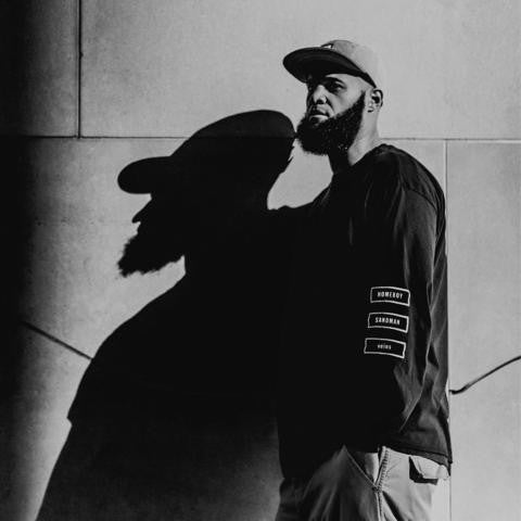 Homeboy Sandman - Veins, LP Vinyl - The Giant Peach