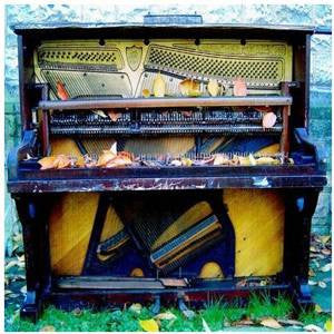 Bracken - We Know About the Need, LP Vinyl - The Giant Peach