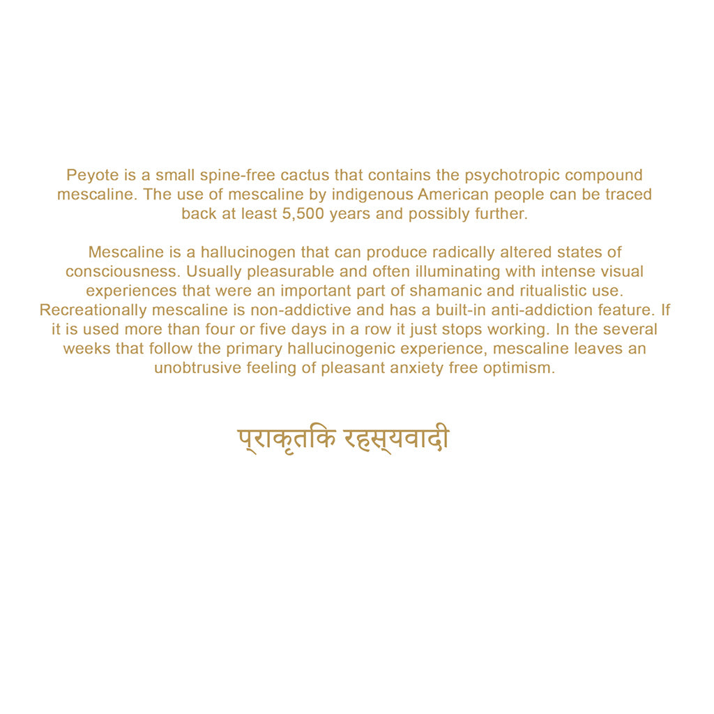 Akomplice - Shamanic Journey Men's Hoodie, Black