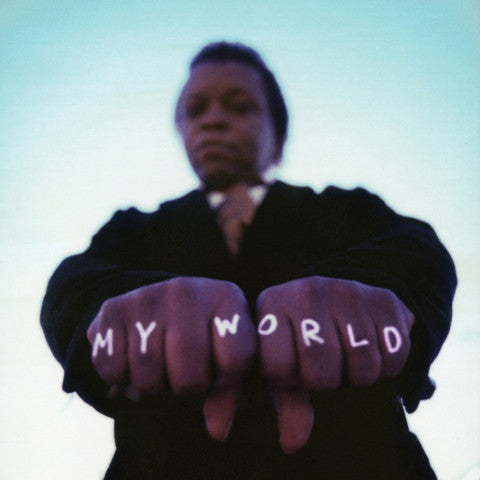 Lee Fields & The Expressions - My World, CD - The Giant Peach