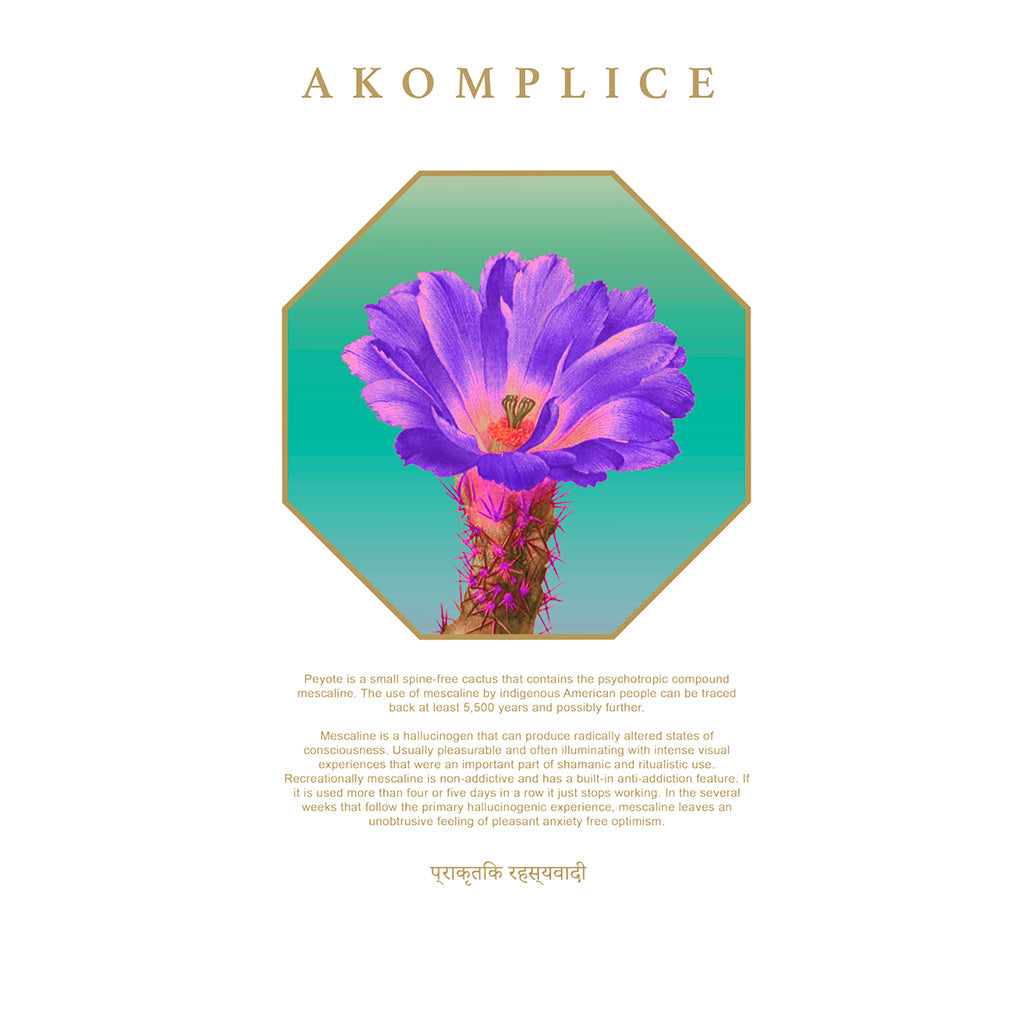 Akomplice - Shamanic Journey Men's Hoodie, Black