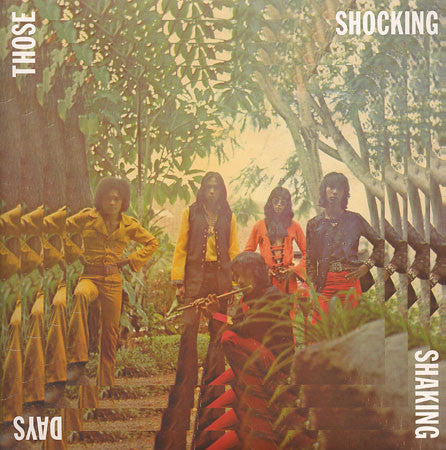 V/A - Those Shocking Shaking Days, CD - The Giant Peach